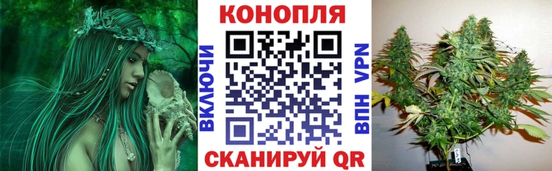 Купить Гашиш  Кокаин  АМФ  МАРИХУАНА  Псилоцибиновые грибы  Меф мяу мяу  Лесной