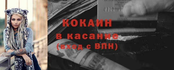 тгк Дмитровск