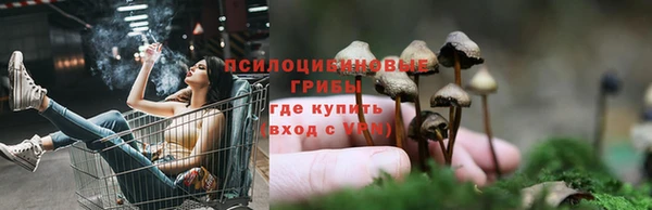 дмт Дмитров