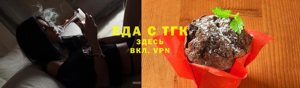 дмт Дмитров
