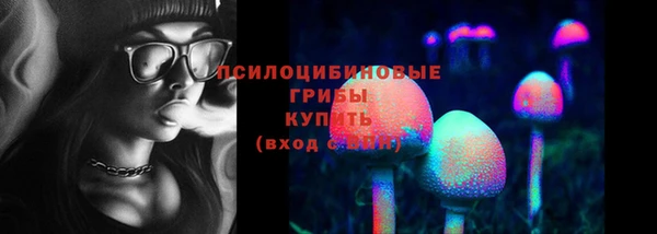 дмт Дмитров