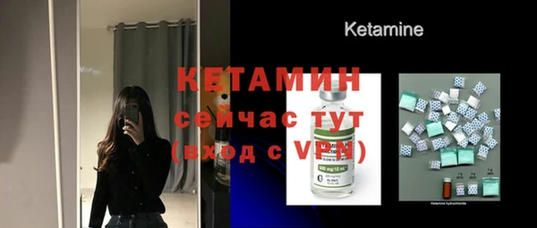apvp Дмитриев