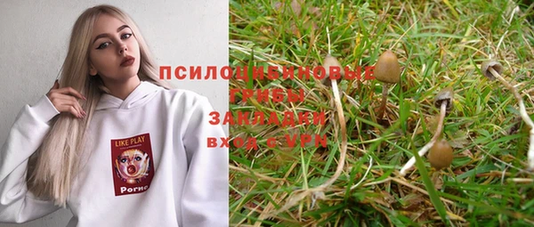 дмт Дмитров
