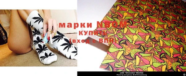 apvp Дмитриев