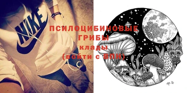 тгк Дмитровск