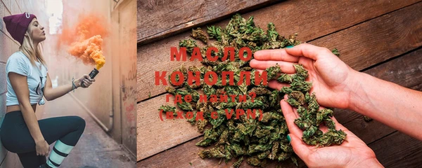 дмт Дмитров