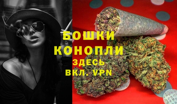 apvp Дмитриев