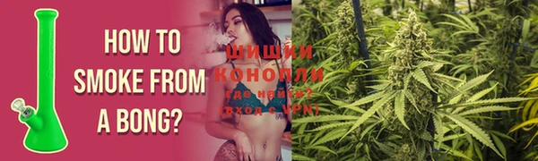 apvp Дмитриев