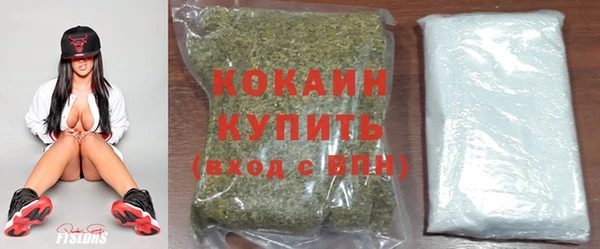 apvp Дмитриев