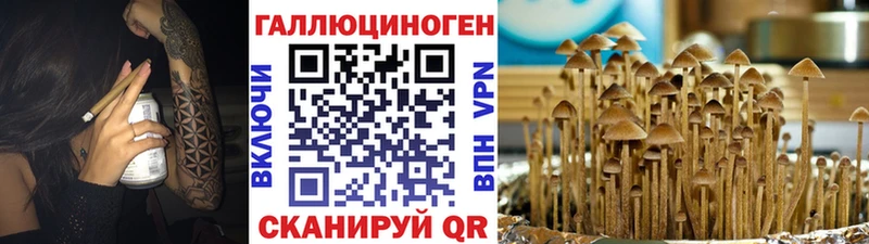 Купить где  Лесной  Псилоцибиновые грибы ЛСД 